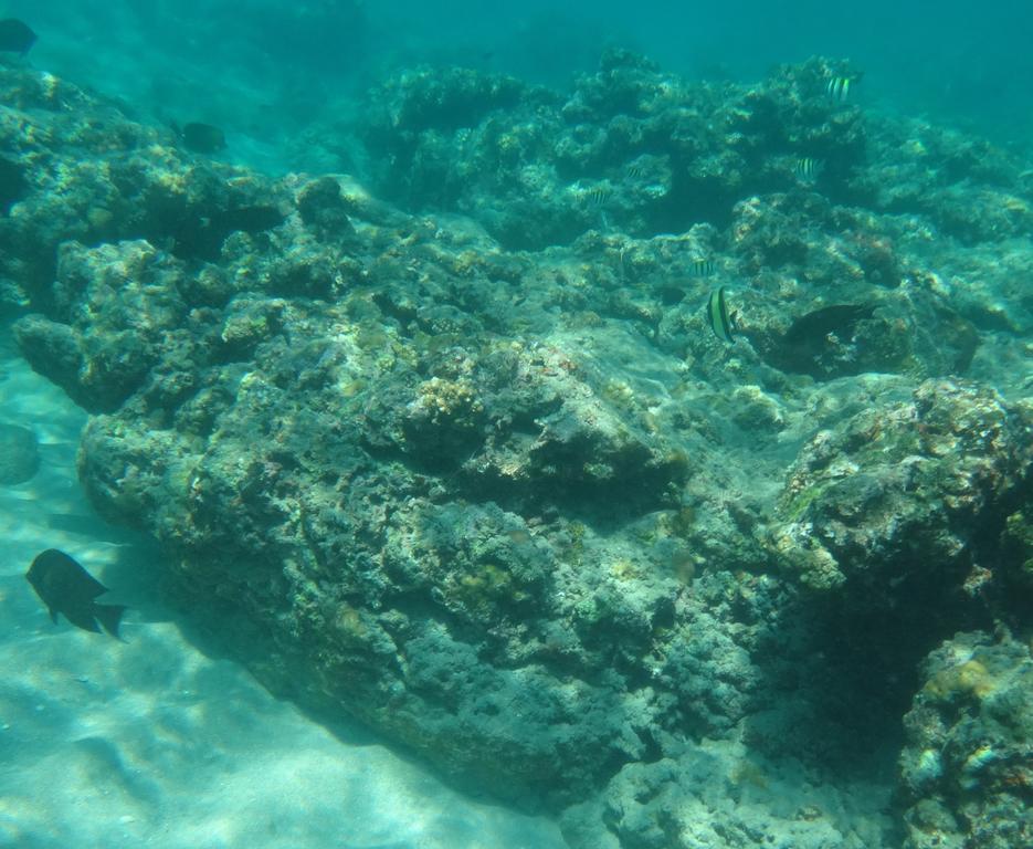 Wera Beach Kadumbul Zewnętrze zdjęcie